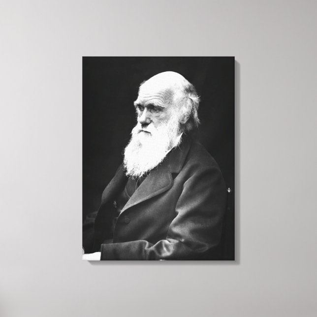 Charles Darwin Porträtt Canvastryck (Framsida)