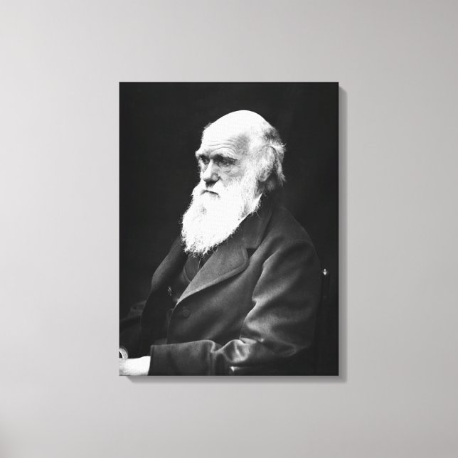 Charles Darwin Porträtt Canvastryck (Framsida)