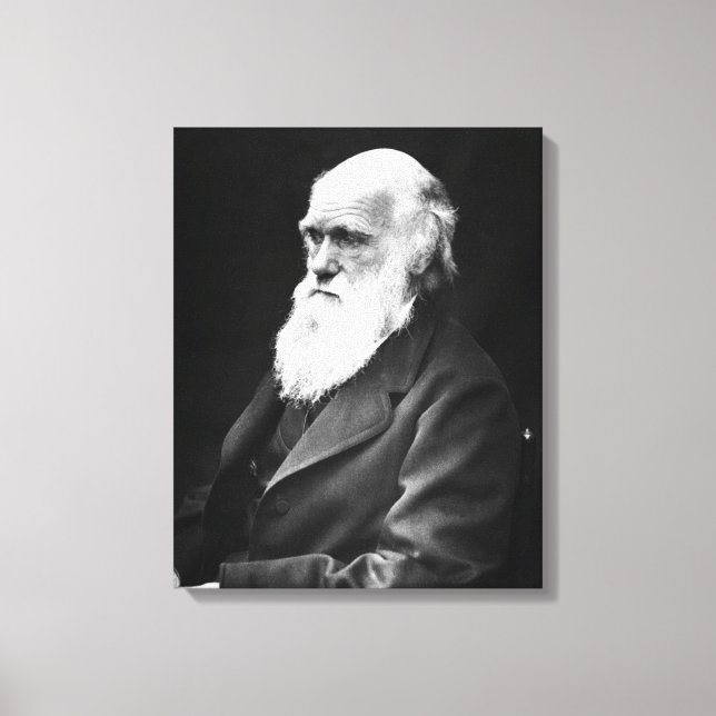 Charles Darwin Porträtt Canvastryck (Framsida)