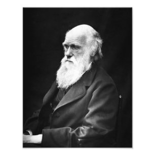 Charles Darwin Porträtt Fototryck