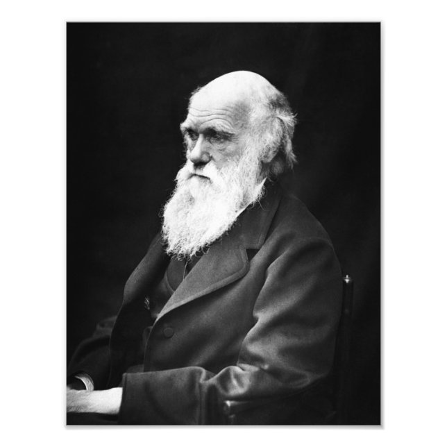 Charles Darwin Porträtt Fototryck (Framsidan)