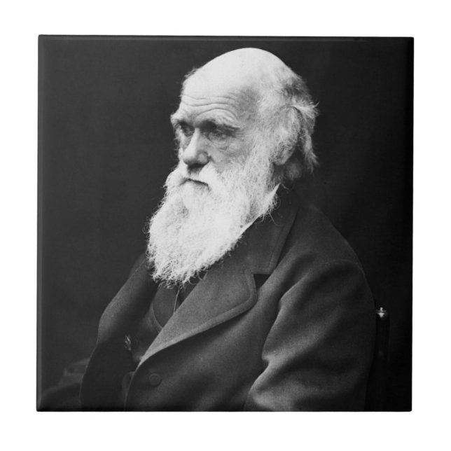 Charles Darwin Porträtt Kakelplatta (Framsidan)