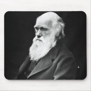 Charles Darwin Porträtt Musmatta