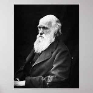 Charles Darwin Porträtt Poster