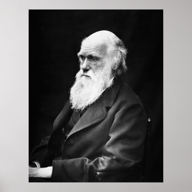 Charles Darwin Porträtt Poster (Framsidan)