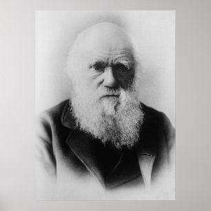 Charles Darwin porträtt vid Elliott och småfisk Poster