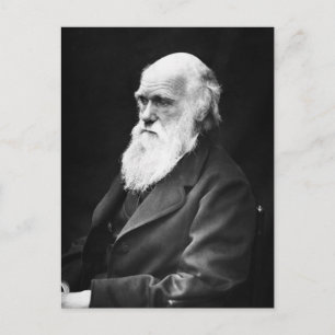 Charles Darwin Porträtt Vykort