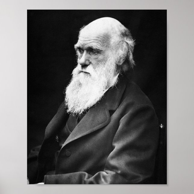 Charles Darwin Poster (Framsidan)