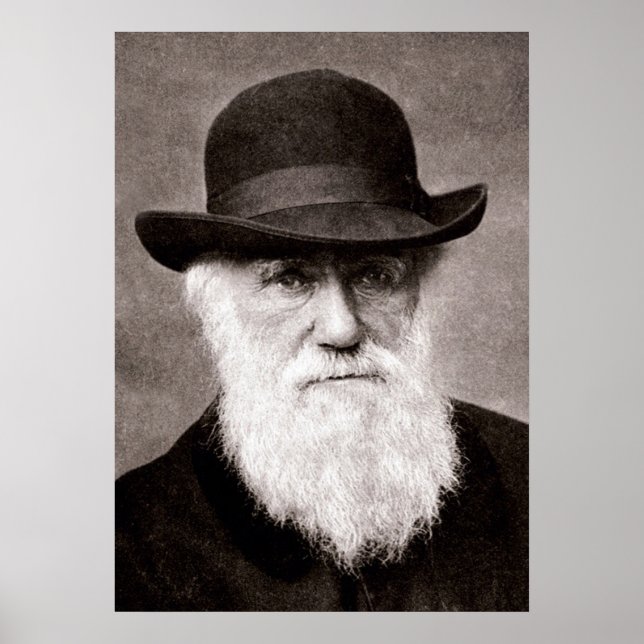 Charles Darwin Poster (Framsidan)