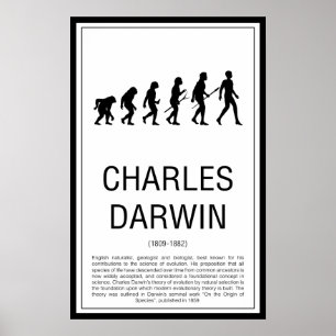 Charles Darwin Poster