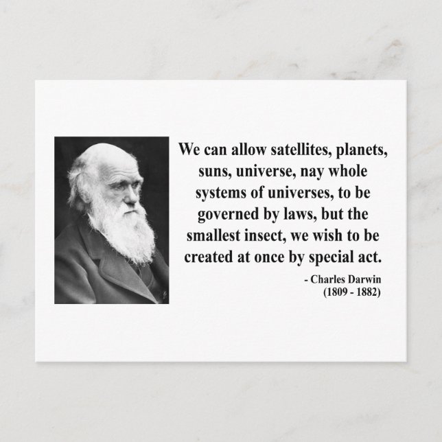 Charles Darwin Quote 4b Vykort (Framsida)