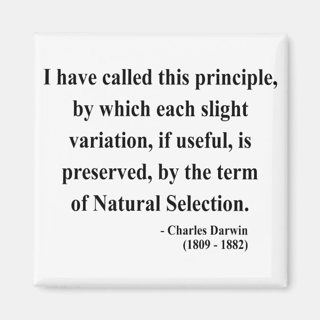 Charles Darwin Quote 6a Magnet (Framsidan)