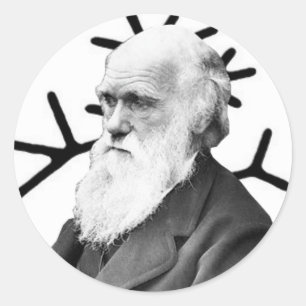 Charles Darwin Runt Klistermärke