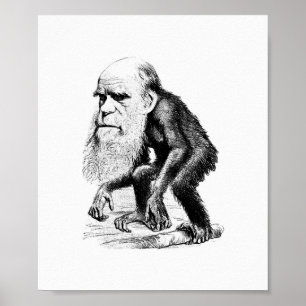 Charles Darwin som en apa Poster