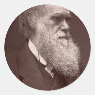 Charles Darwin Sticker Runt Klistermärke