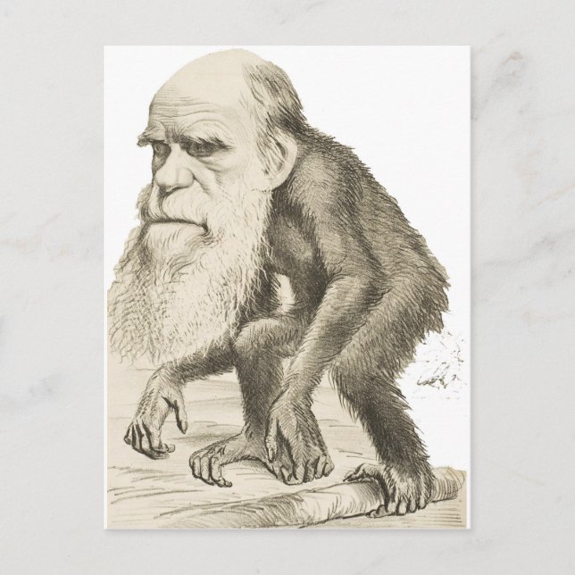 Charles Darwin the Monkey Man Vykort (Framsida)