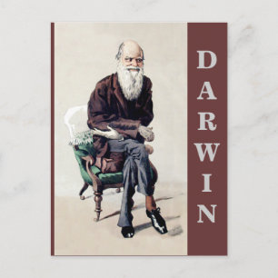 Charles Darwin Vanity Fair Illustration Vykort