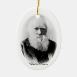 Charles Darwin Vignette Julgransprydnad Keramik