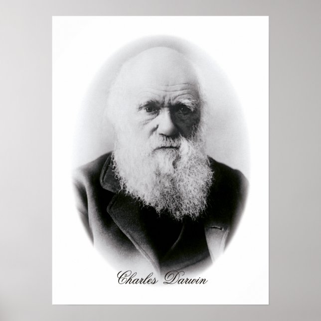 Charles Darwin Vignette Poster (Framsidan)