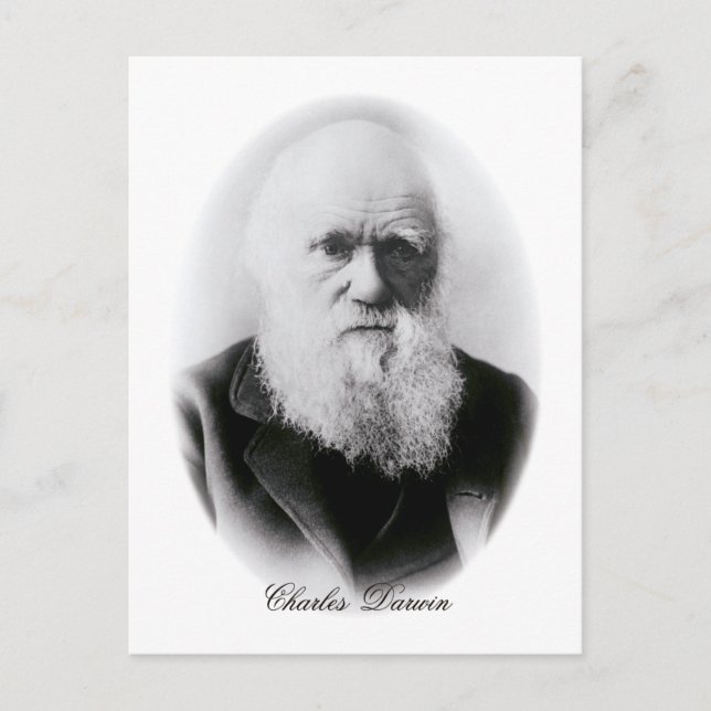 Charles Darwin Vignette Vykort (Framsida)