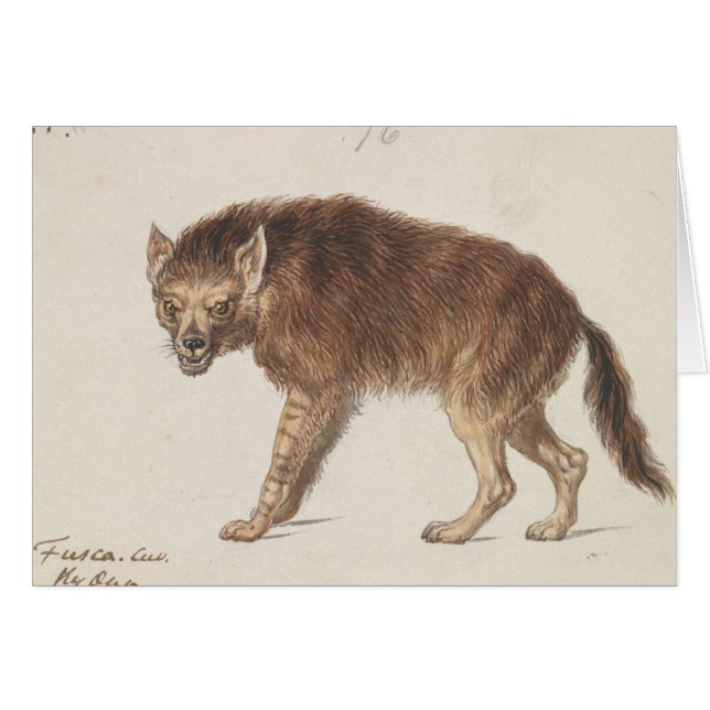 Charles Hamilton Smith - Brown Hyena Hälsningskort (Framsidan Horizontal)