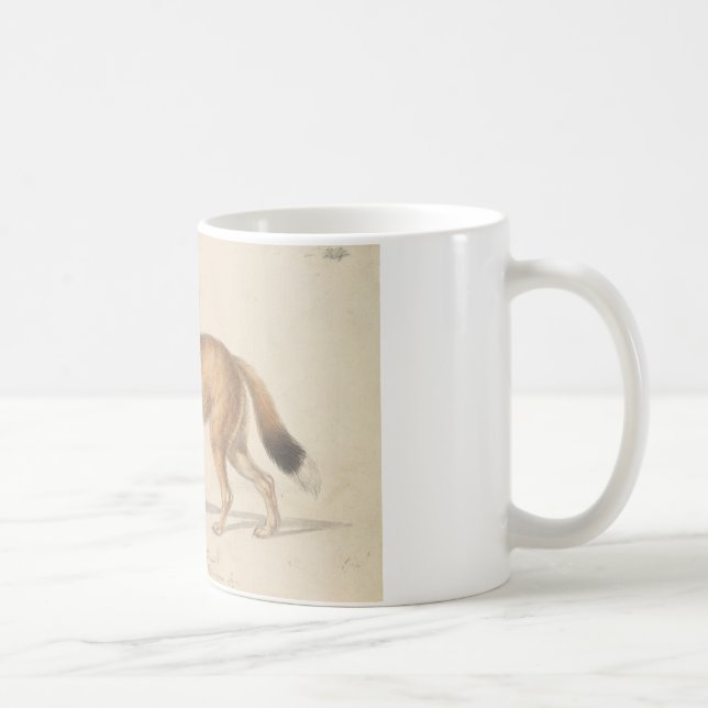 Charles Hamilton Smith - Falklandsöarnas Varg Kaffemugg (Höger)