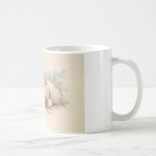 Charles Hamilton Smith - Rosa Fairy Armadillo Kaffemugg (Höger)