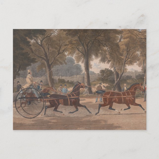 Charles Hunt - Extraordinary Trotting Match Vykort (Framsida)