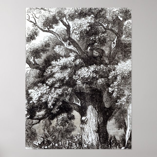 Charles II Gömt i Oak Träd Poster (Framsidan)