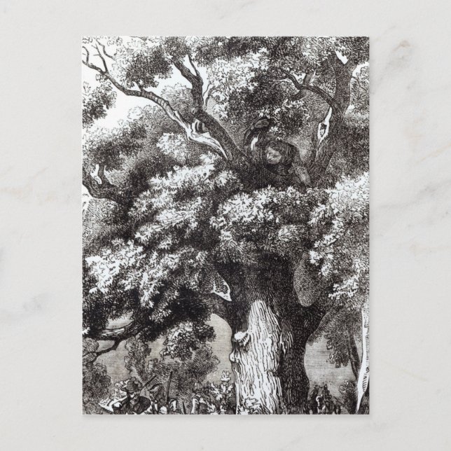 Charles II Gömt i Oak Träd Vykort (Framsida)