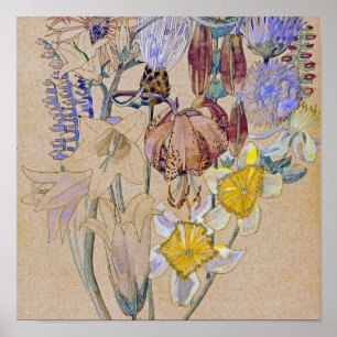 Charles Rennie Mackintosh - Mont Louis - blomma Poster