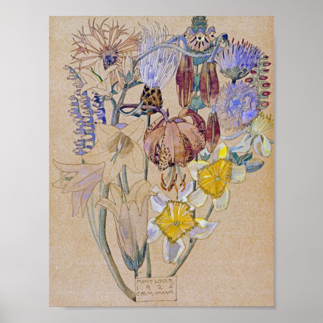 Charles Rennie Mackintosh - Mont Louis - Flower Poster (Framsidan)