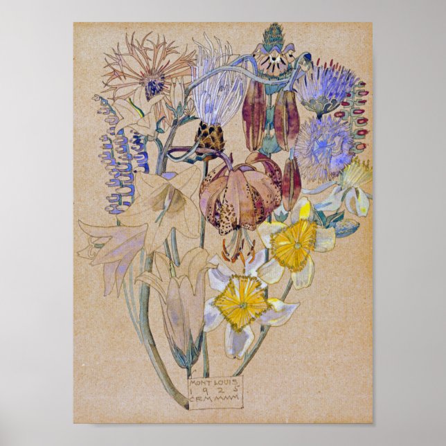 Charles Rennie Mackintosh - Mont Louis - Flower Poster (Framsidan)