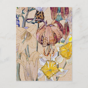 Charles Rennie Mackintosh - Mont Louis - Flower Vykort