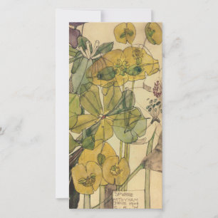 Charles Rennie Mackintosh - Spurge with Yham 1909 Julkort