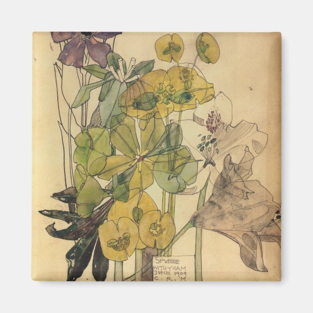 Charles Rennie Mackintosh - Spurge with Yham 1909 Magnet (Framsidan)