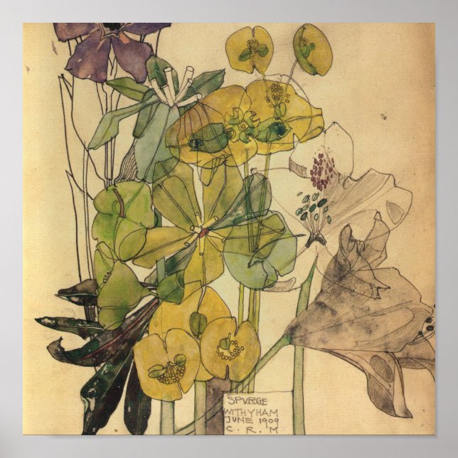 Charles Rennie Mackintosh - Spurge with Yham 1909 Poster (Framsidan)