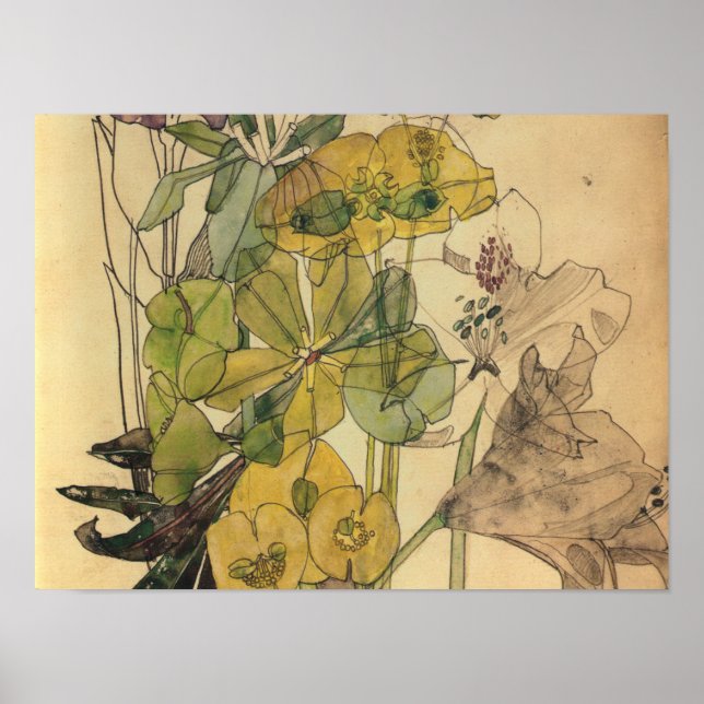 Charles Rennie Mackintosh - Spurge with Yham 1909 Poster (Framsidan)