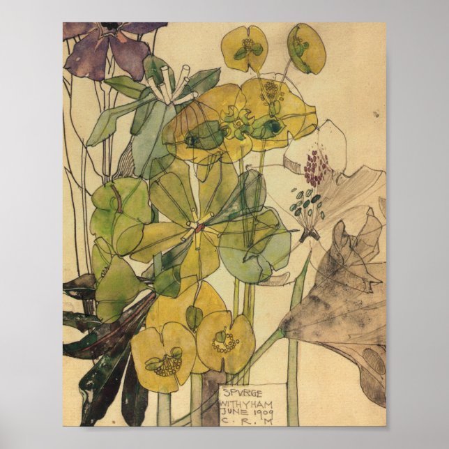 Charles Rennie Mackintosh - Spurge with Yham 1909 Poster (Framsidan)