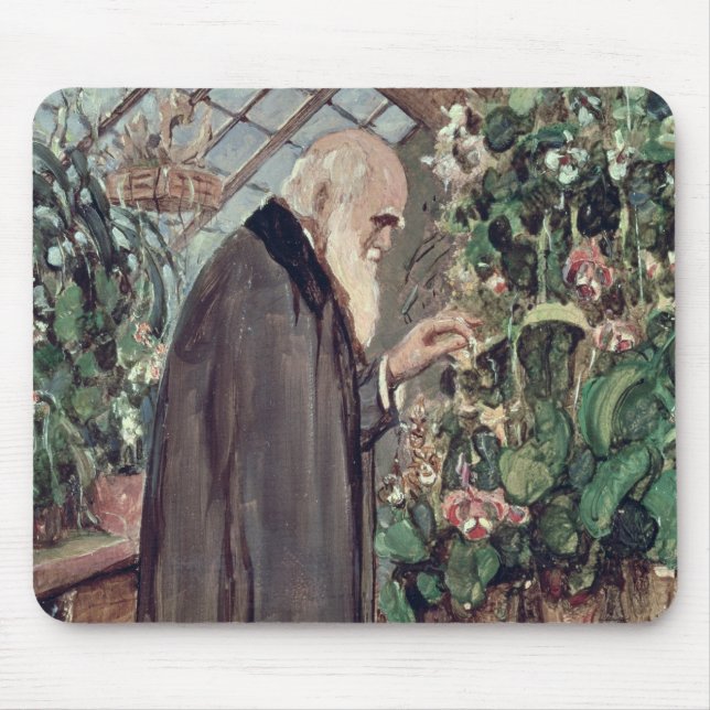Charles Robert Darwin Musmatta (Framsidan)