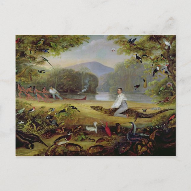 Charles Waterton fångade en kajman, 1825-26 Vykort (Framsida)