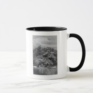 Charles Watertons grav Mugg