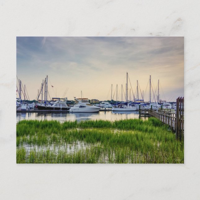 Charleston Harbour Boats Sunset Blank Post Card Vykort (Framsida)