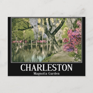 Charleston, Magnolia Gardens, Vintage Vykort