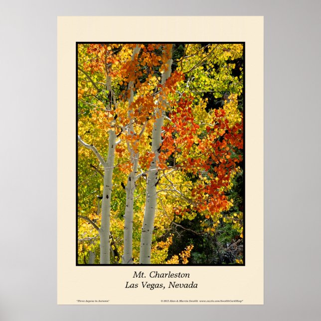 Charleston NV Autumn Fall Färg Aspen Fine Art Poster (Framsidan)