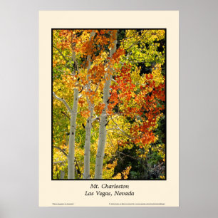 Charleston NV Autumn Fall Färg Aspen Fine Art Poster