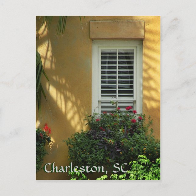 Charleston Pinckney St. Post Card Vykort (Framsida)