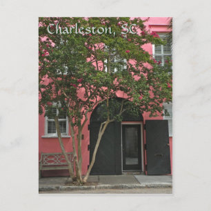 Charleston Rosa House-vykort Vykort