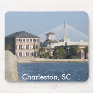 Charleston SC-mus vadderar Musmatta