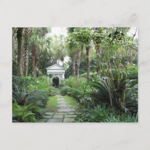 Charleston SC Palmettos Garden & Gazebo Postcard Vykort